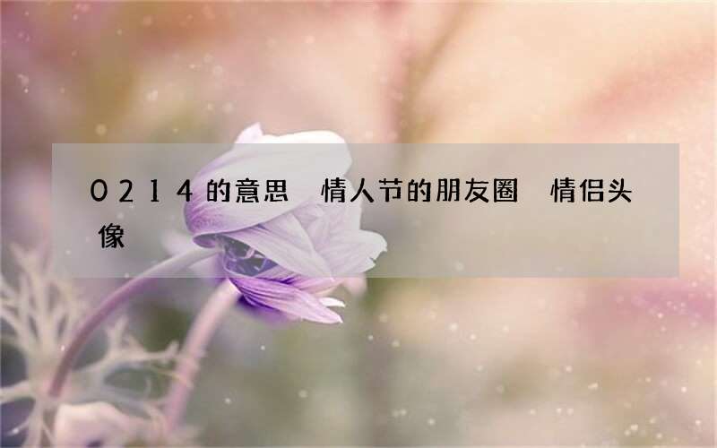 0214的意思 情人节的朋友圈 情侣头像